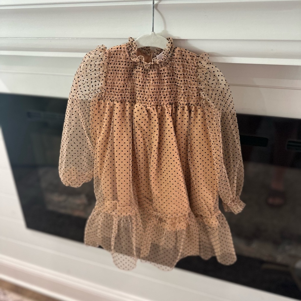 Zara Polka Dot Dress